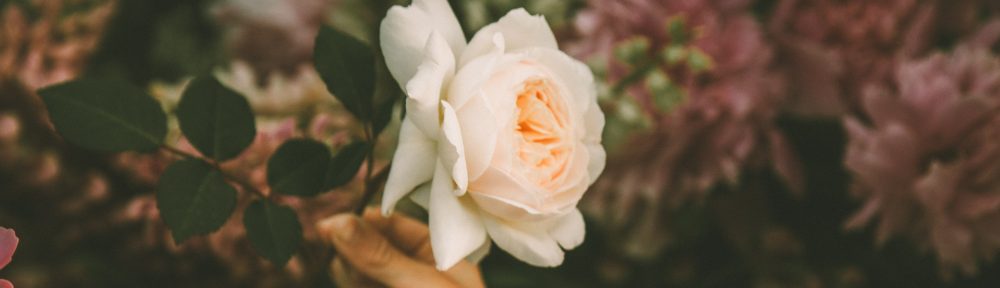Saskia Biehl Diététicienne Nutritionniste au cabinet à Coulommiers et à domicile