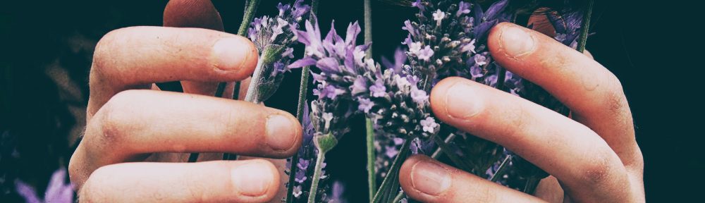 Saskia Biehl Diététicienne Nutritionniste au cabinet à Coulommiers et à domicile